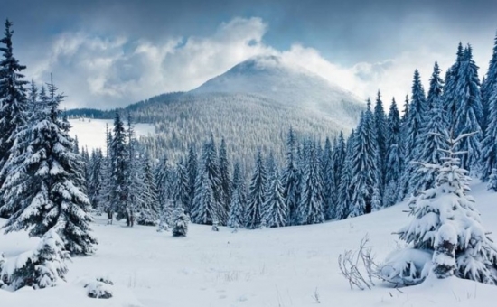 ILGAZ KAYAK TURU GÜNÜBİRLİK